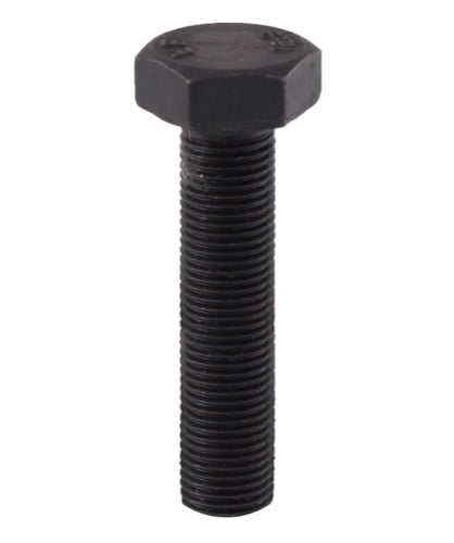 Tornillo de cabeza hexagonal - M12 sin tuerca - LS11-TARM-105